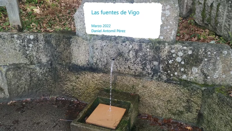 Portada de Las fuentes de Vigo